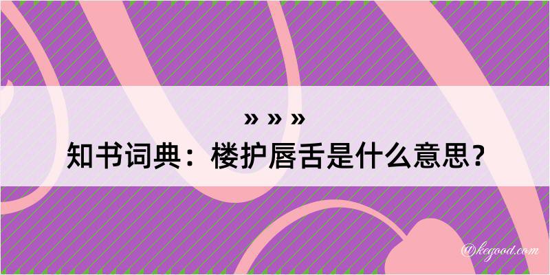 知书词典：楼护唇舌是什么意思？