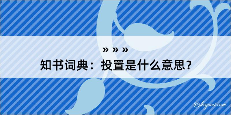 知书词典：投置是什么意思？