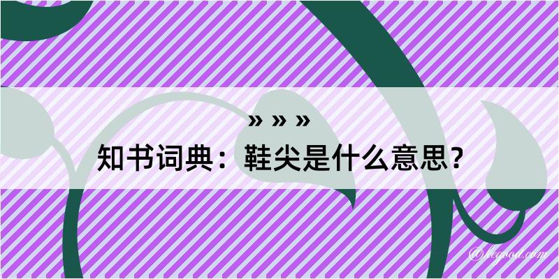 知书词典：鞋尖是什么意思？