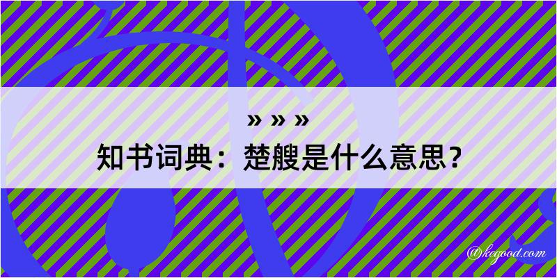 知书词典：楚艘是什么意思？