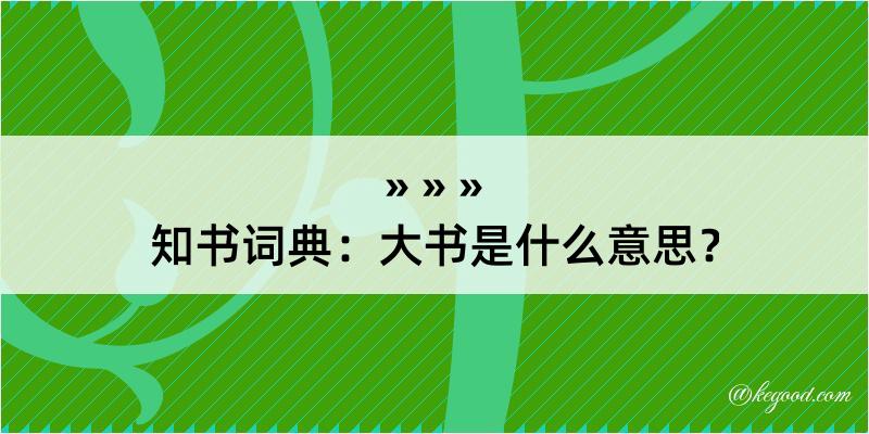 知书词典：大书是什么意思？