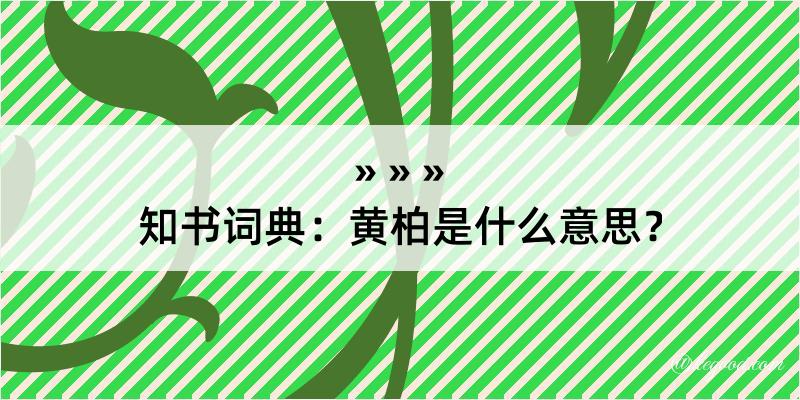 知书词典：黄柏是什么意思？