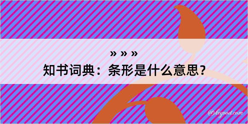 知书词典：条形是什么意思？