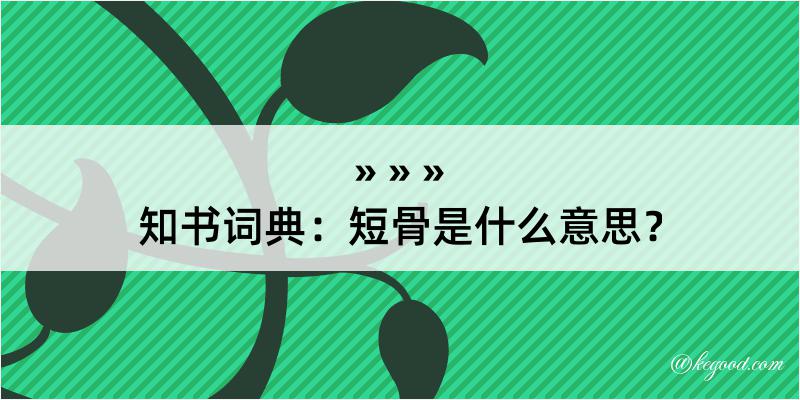 知书词典：短骨是什么意思？