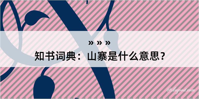 知书词典：山寨是什么意思？