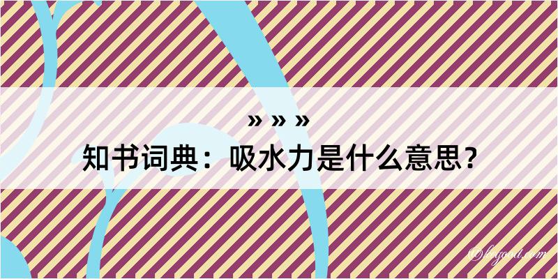 知书词典：吸水力是什么意思？