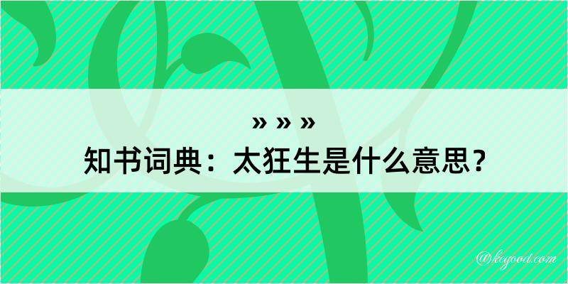 知书词典：太狂生是什么意思？