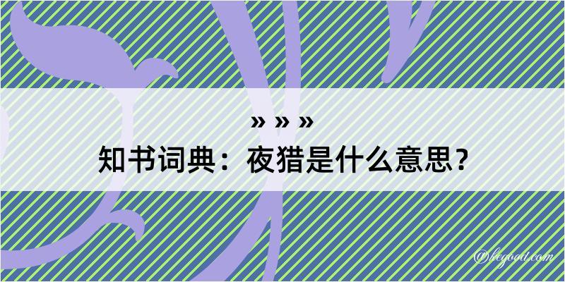 知书词典：夜猎是什么意思？