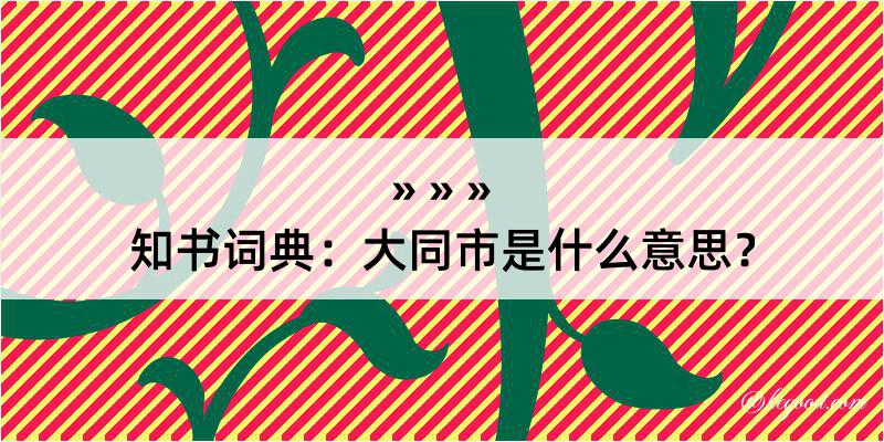 知书词典：大同市是什么意思？