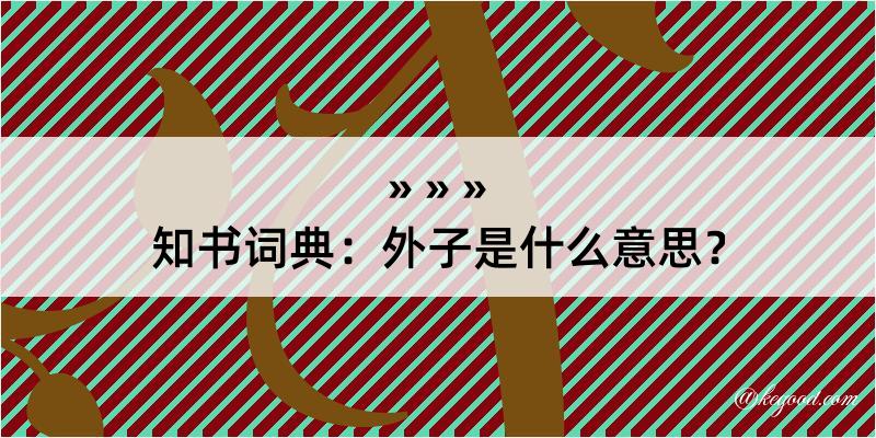 知书词典：外子是什么意思？