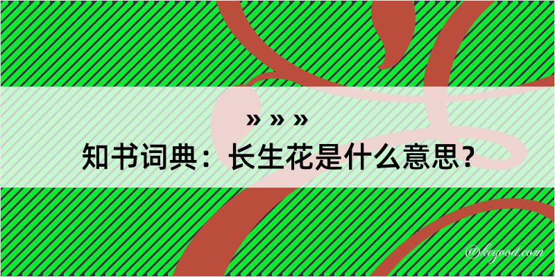 知书词典：长生花是什么意思？