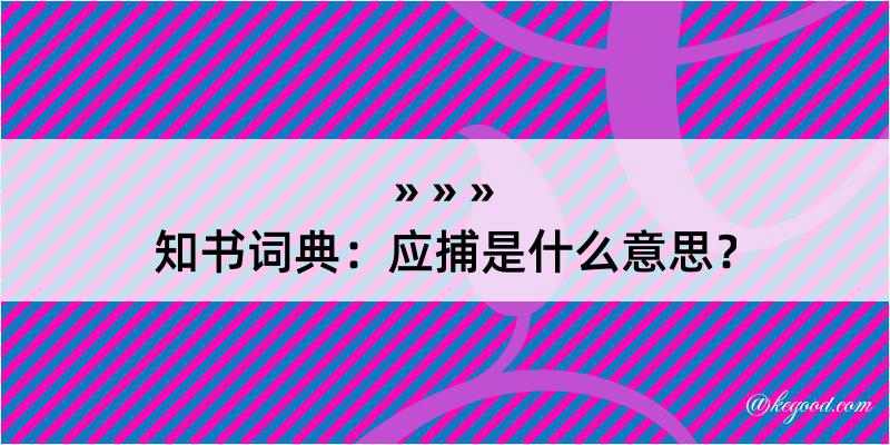 知书词典：应捕是什么意思？