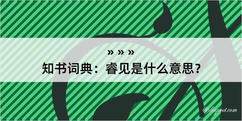 知书词典：睿见是什么意思？