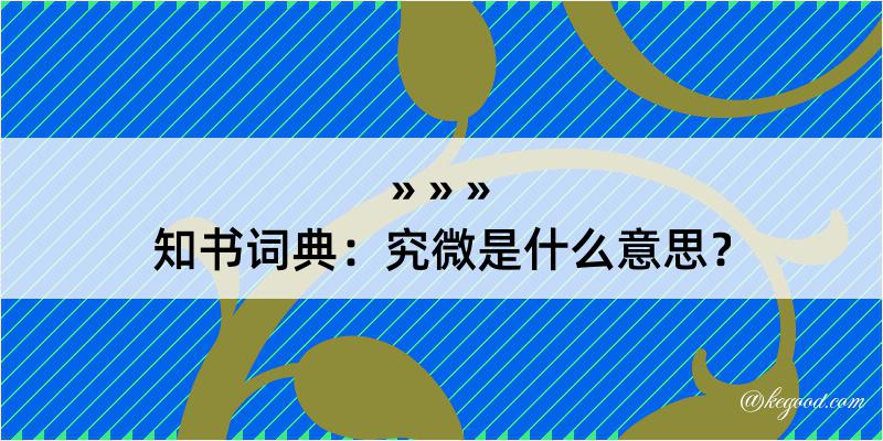 知书词典：究微是什么意思？