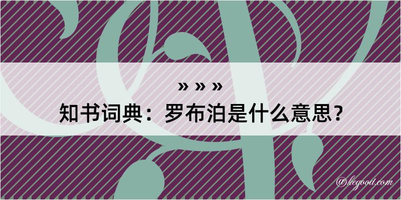 知书词典：罗布泊是什么意思？