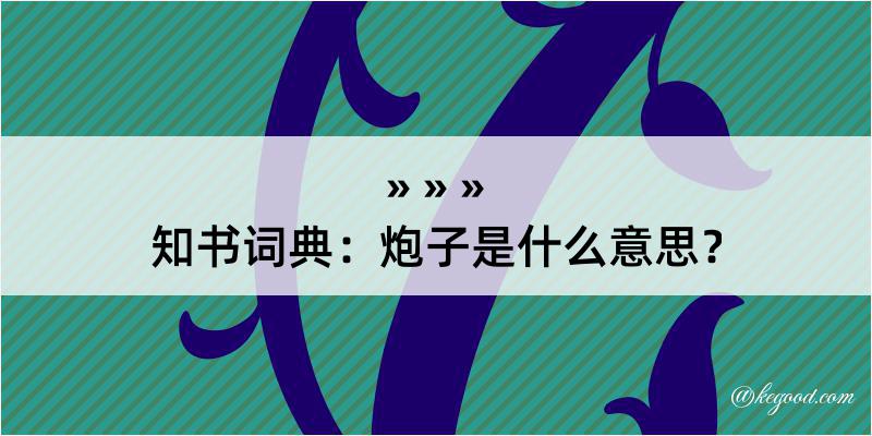 知书词典：炮子是什么意思？