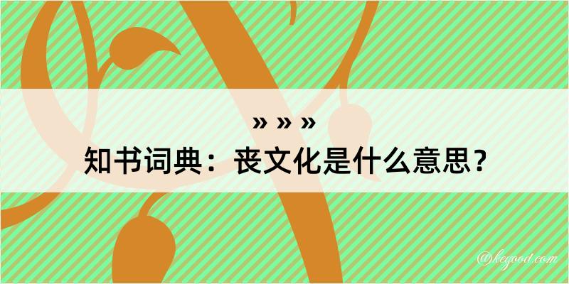 知书词典：丧文化是什么意思？