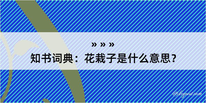 知书词典：花栽子是什么意思？