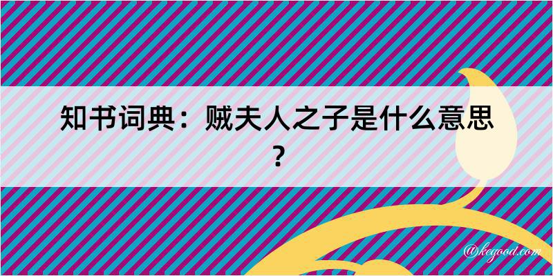 知书词典：贼夫人之子是什么意思？