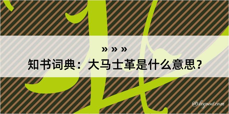 知书词典：大马士革是什么意思？