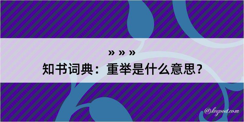 知书词典：重举是什么意思？