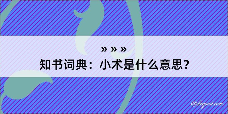 知书词典：小术是什么意思？