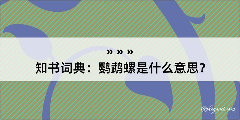 知书词典：鹦鹉螺是什么意思？