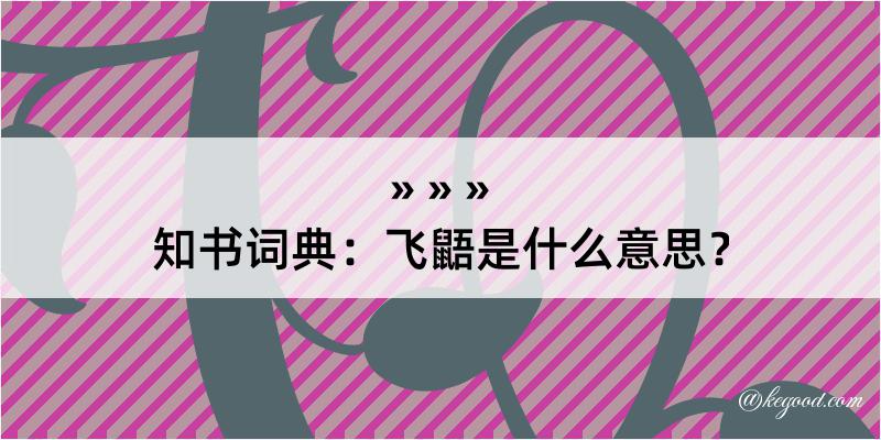 知书词典：飞鼯是什么意思？