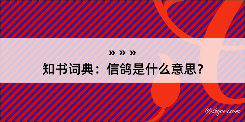 知书词典：信鸽是什么意思？