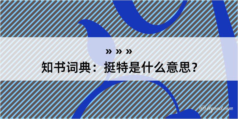 知书词典：挺特是什么意思？