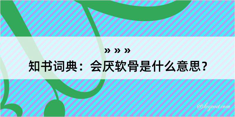 知书词典：会厌软骨是什么意思？