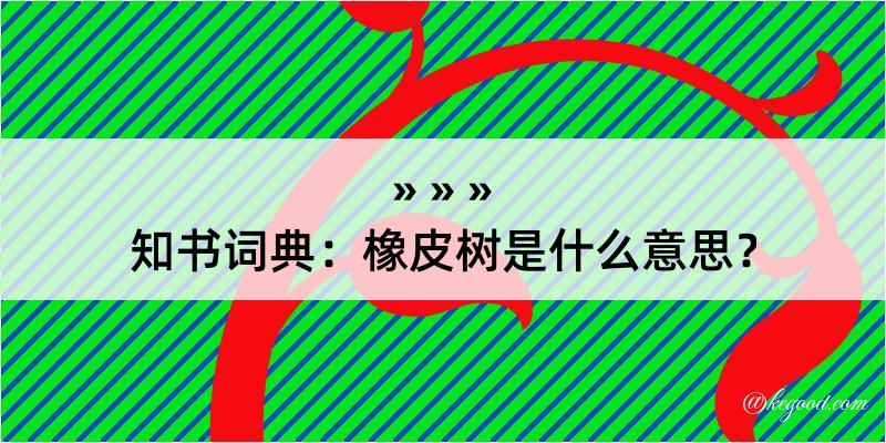 知书词典：橡皮树是什么意思？