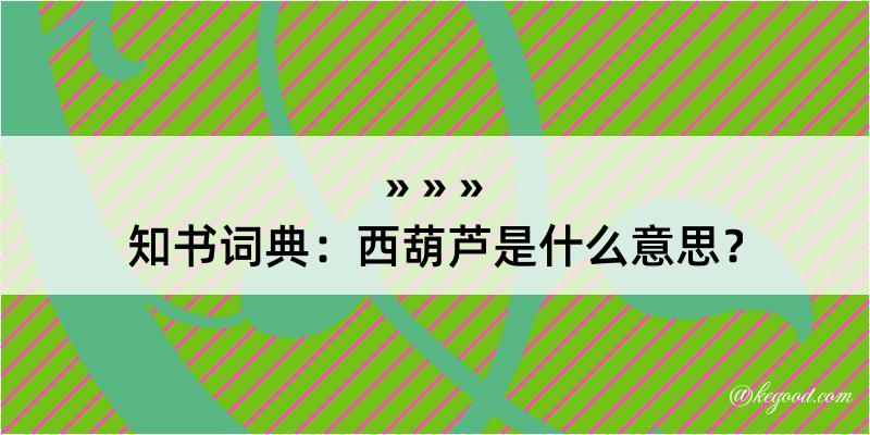 知书词典：西葫芦是什么意思？