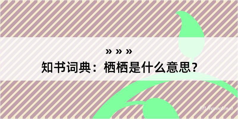 知书词典：栖栖是什么意思？