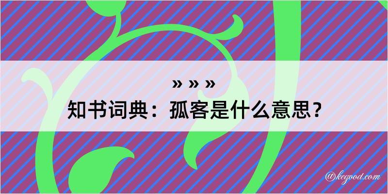 知书词典：孤客是什么意思？