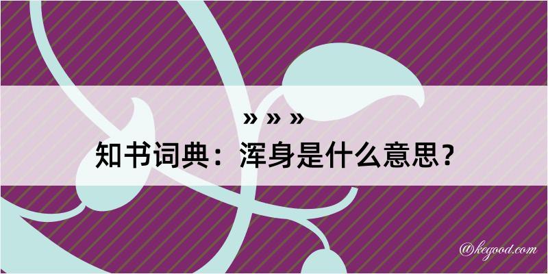 知书词典：浑身是什么意思？