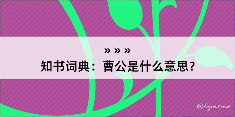 知书词典：曹公是什么意思？