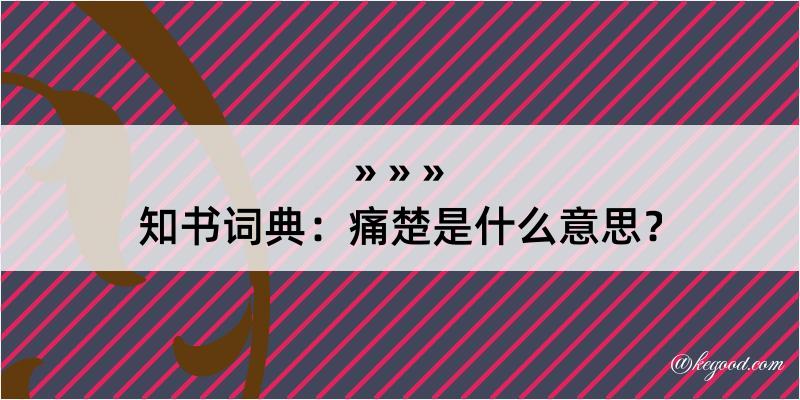 知书词典：痛楚是什么意思？