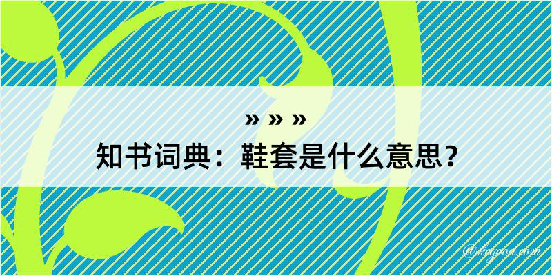 知书词典：鞋套是什么意思？