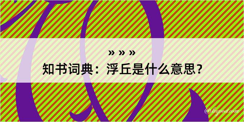 知书词典：浮丘是什么意思？