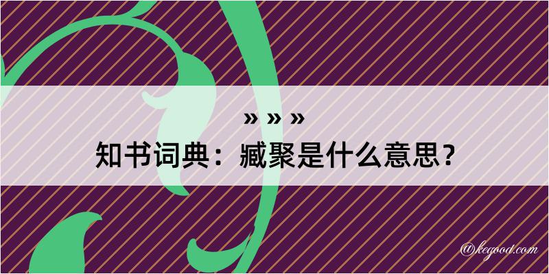 知书词典：臧聚是什么意思？