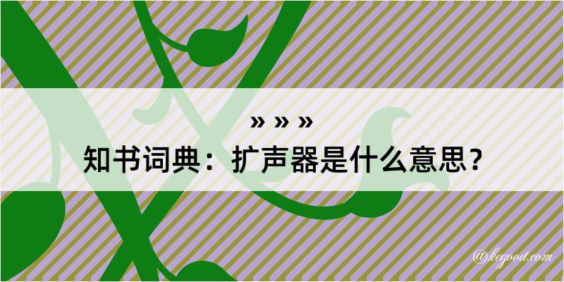 知书词典：扩声器是什么意思？