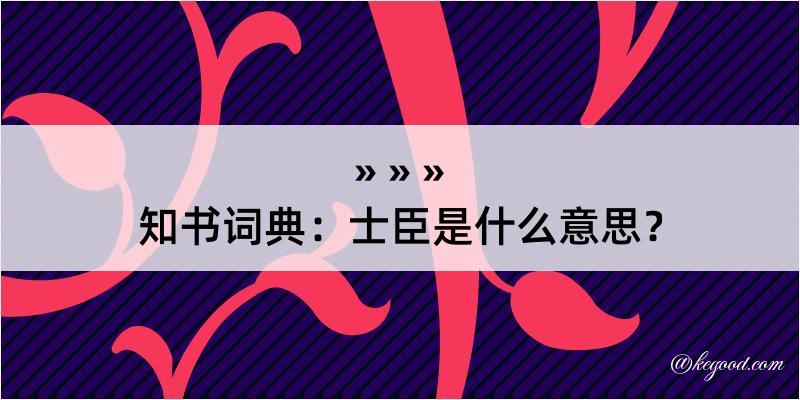 知书词典：士臣是什么意思？