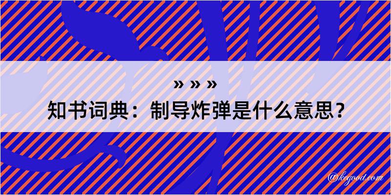 知书词典：制导炸弹是什么意思？