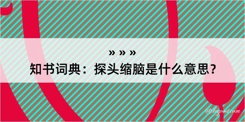 知书词典：探头缩脑是什么意思？