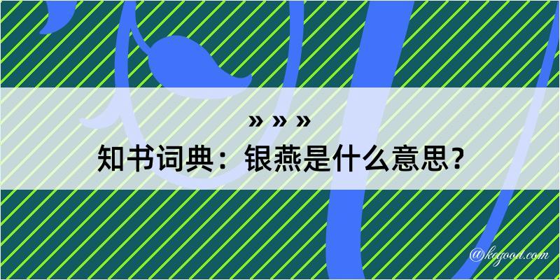 知书词典：银燕是什么意思？