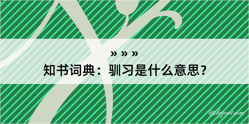 知书词典：驯习是什么意思？