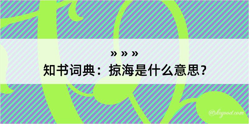 知书词典：掠海是什么意思？