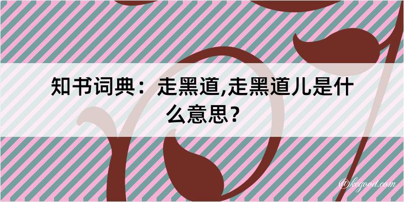 知书词典：走黑道,走黑道儿是什么意思？