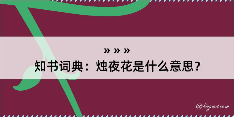 知书词典：烛夜花是什么意思？